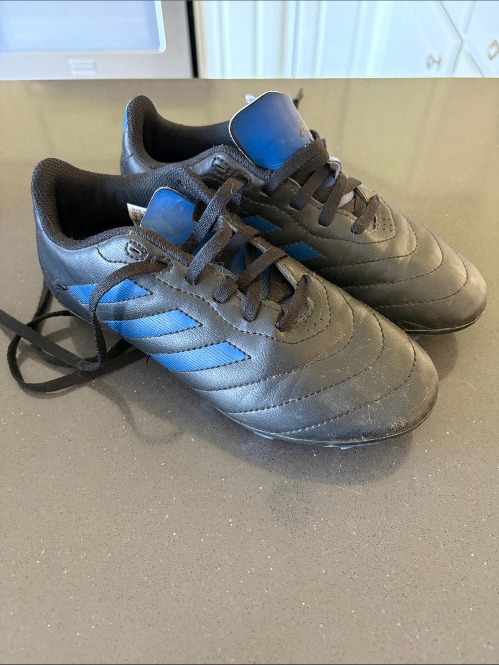 adidas kids Black and Blue Athletic Soccer Cleats